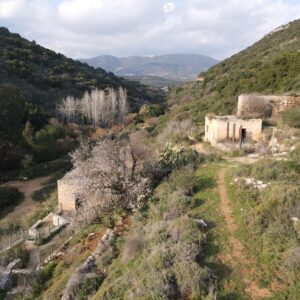 השתלמות 6663 - בקעת צלמון וכל נתיבותיה- קהילות יחודיות, טעמים ופולקלור - 10.09.2026