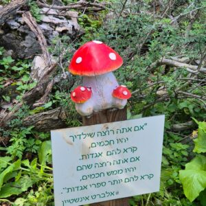 השתלמות 6694 - טיפוסים בשביל בית הכרם (1) - 25.03.2027