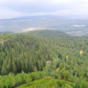 השתלמות 6616 - יובלים ויעד- מסע קולינרי וואמנותי בנקודות חמד נסתרות - 04.02.2027