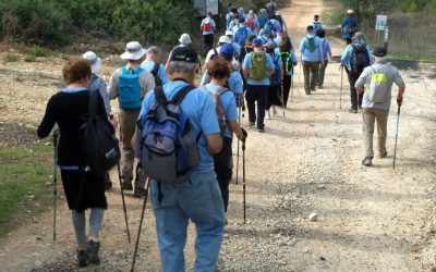 מורשת הגליל