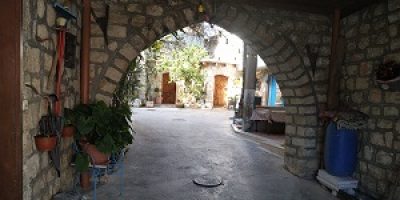 הגרעין העתיק בענה - תמונת מוצר