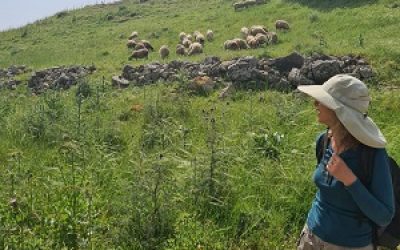 סיורים מודרכים לוגו