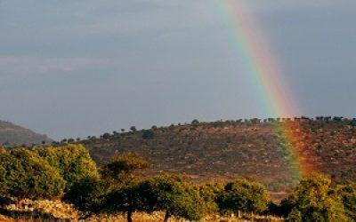 השתלמויות מורי דרך תמונת קטגוריה