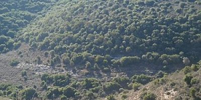 הר עצמון יודפת העתיקה מוצר