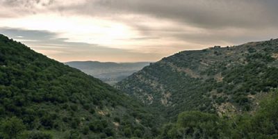 7a69f86aa530dad6fbfccc256d35ff77_camon-open